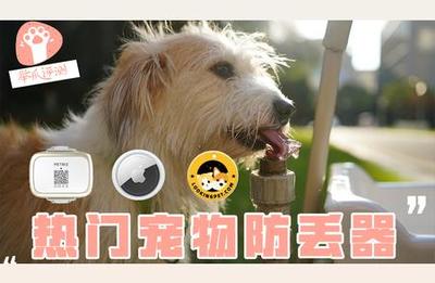 寵物定位器 養(yǎng)貓遛狗無憂的神器