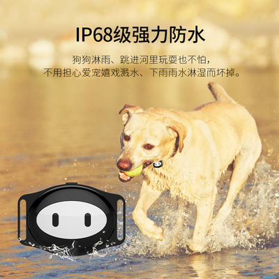真匠寵物定位器評測 獵犬GPS追蹤器，迷你防水項圈守護愛寵安全