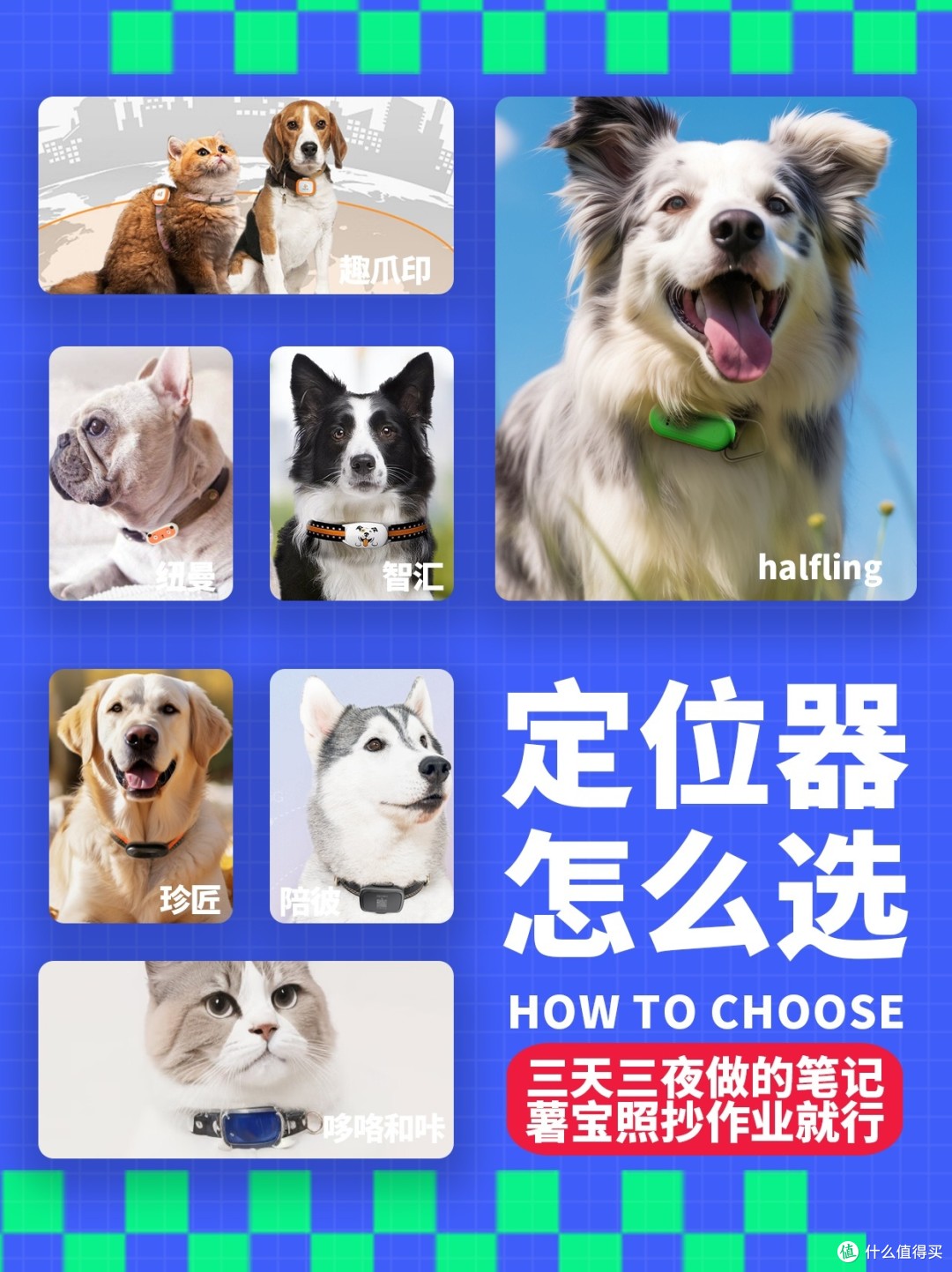 寵物狗狗定位器選購指南 如何挑選適合愛寵的定位器